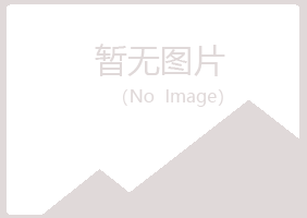 河池妩媚造纸有限公司